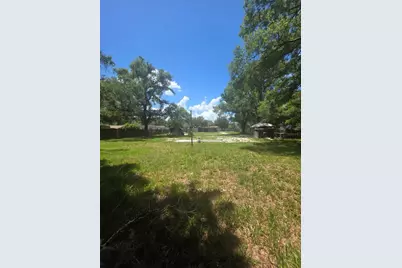 12521 Pittsfield Avenue, Tampa, FL 33624 - Photo 7