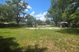 12521 Pittsfield Ave, Tampa, FL 33624 - Photo 7