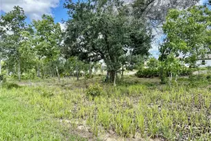13075 House Finch Rd, Weeki Wachee, FL 34614 - Photo 69