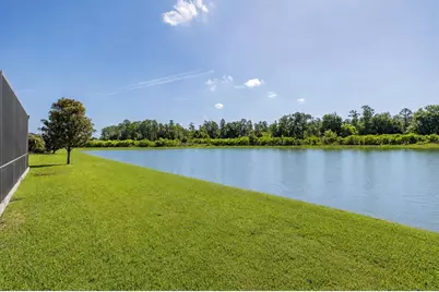 3880 Mellon Drive, Odessa, FL 33556 - Photo 49