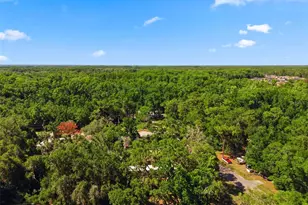 12449 Eagle Lake Ave, New Port Richey, FL 34654 - Photo 45