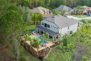 14810 Ninebark Ct, Land O Lakes, FL 34638 - Photo 41