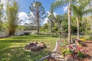 14810 Ninebark Ct, Land O Lakes, FL 34638 - Photo 57