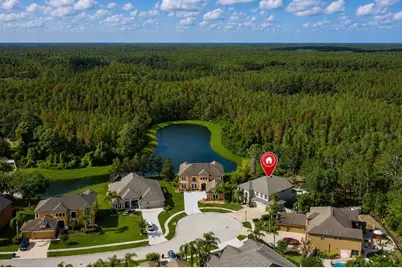 14810 Ninebark Court, Land O Lakes, FL 34638 - Photo 65