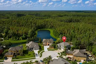 14810 Ninebark Ct, Land O Lakes, FL 34638 - Photo 65