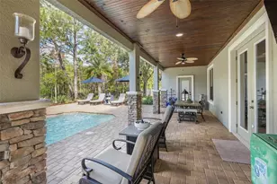 14810 Ninebark Ct, Land O Lakes, FL 34638 - Photo 53