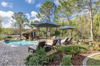 14810 Ninebark Court, Land O Lakes, FL 34638 - Photo 43