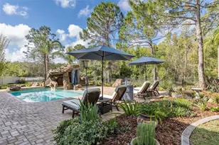14810 Ninebark Ct, Land O Lakes, FL 34638 - Photo 43