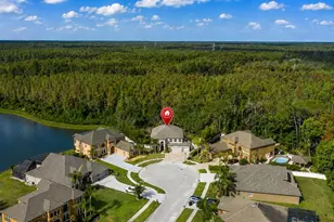 14810 Ninebark Ct, Land O Lakes, FL 34638 - Photo 61