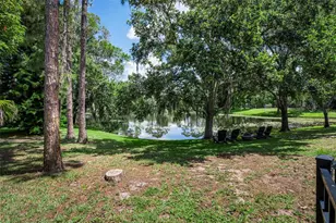 6207 Iroquois Ct, Odessa, FL 33556 - Photo 73