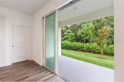 31365 Paper Birch Street, Wesley Chapel, FL 33545 - Photo 17