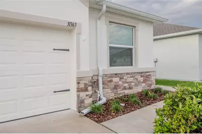 31365 Paper Birch Street, Wesley Chapel, FL 33545 - Photo 3