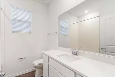 31365 Paper Birch Street, Wesley Chapel, FL 33545 - Photo 27