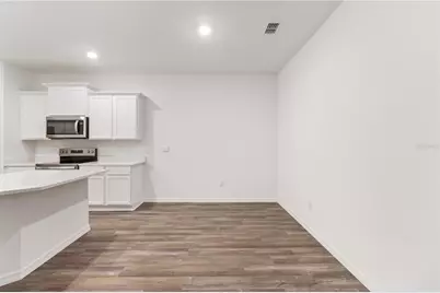 31365 Paper Birch Street, Wesley Chapel, FL 33545 - Photo 19