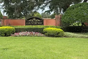 11516 Whispering Hollow Dr, Tampa, FL 33635 - Photo 21