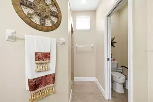107 Silver Falls Dr Dr, Apollo Beach, FL 33572 - Photo 37
