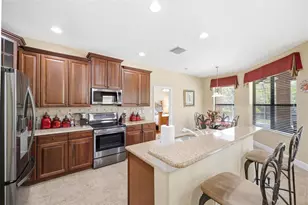 107 Silver Falls Dr Dr, Apollo Beach, FL 33572 - Photo 3