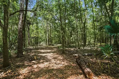 24050 Winding Creek Drive, Brooksville, FL 34601 - Photo 83