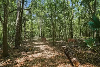 24050 Winding Creek Drive, Brooksville, FL 34601 - Photo 85