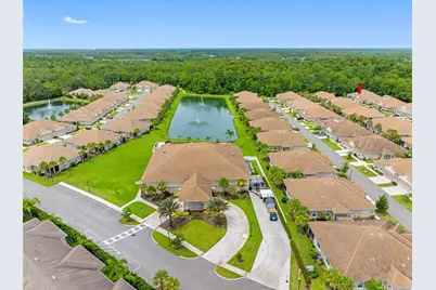 29817 Ganga Way, Wesley Chapel, FL 33543 - Photo 33