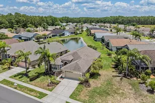 1032 Dustan Pl, Trinity, FL 34655 - Photo 25