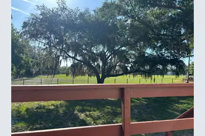4947 Mitchell Road, Land O Lakes, FL 34638 - Photo 33