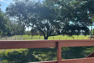 4947 Mitchell Rd, Land O Lakes, FL 34638 - Photo 33