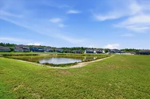 19132 Andrea Lynn Ln, Land O Lakes, FL 34638 - Photo 59
