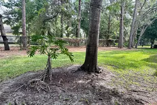 2141 Portofino Pl, Palm Harbor, FL 34683 - Photo 27