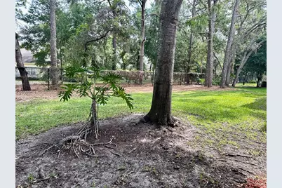 2141 Portofino Place #2827, Palm Harbor, FL 34683 - Photo 27