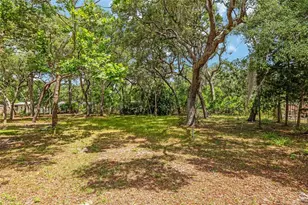 11211 NW 113 Pl, Chiefland, FL 32626 - Photo 3