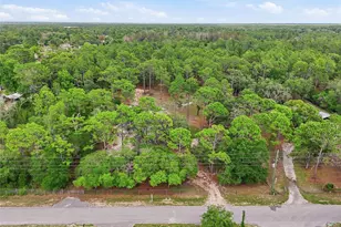 18200 Normandeau St, Spring Hill, FL 34610 - Photo 13