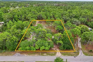 18200 Normandeau St, Spring Hill, FL 34610 - Photo 3