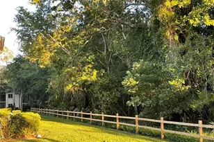 103 Palmetto Ct, Oldsmar, FL 34677 - Photo 33