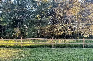 103 Palmetto Ct, Oldsmar, FL 34677 - Photo 35
