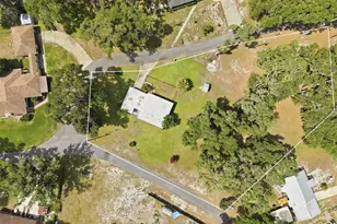 951 Co Rd 453, Lake Panasoffkee, FL 33538 - Photo 45
