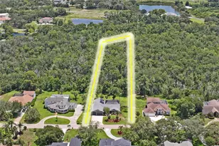 1087 Riverside Ridge, Tarpon Springs, FL 34688 - Photo 85