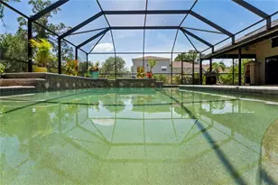1087 Riverside Ridge, Tarpon Springs, FL 34688 - Photo 67