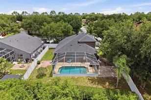 22536 Laureldale Dr, Lutz, FL 33549 - Photo 63
