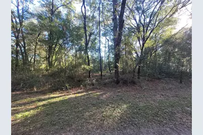 0 SW 22nd Place, Ocala, FL 34481 - Photo 1