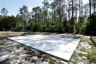 9060 Kindlewood Trail, Brooksville, FL 34613 - Photo 5