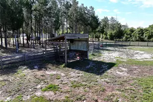 9060 Kindlewood Trail, Brooksville, FL 34613 - Photo 53