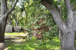 6627 Parkside Dr, New Port Richey, FL 34653 - Photo 69