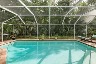 321 Waterford Cir E, Tarpon Springs, FL 34688 - Photo 43