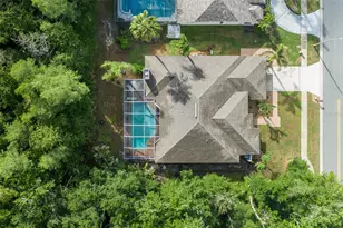 321 Waterford Cir E, Tarpon Springs, FL 34688 - Photo 71