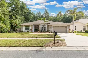 321 Waterford Cir E, Tarpon Springs, FL 34688 - Photo 73