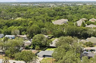 8317 Liman Dr, New Port Richey, FL 34653 - Photo 55