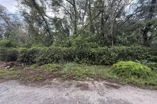 10934 Leon St, New Port Richey, FL 34654 - Photo 1