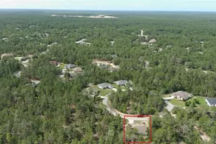 43 Matricaria Ct, Homosassa, FL 34446 - Photo 49