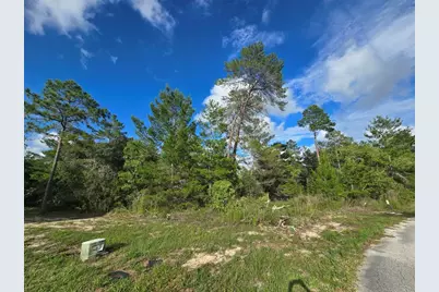 43 Matricaria Court, Homosassa, FL 34446 - Photo 49